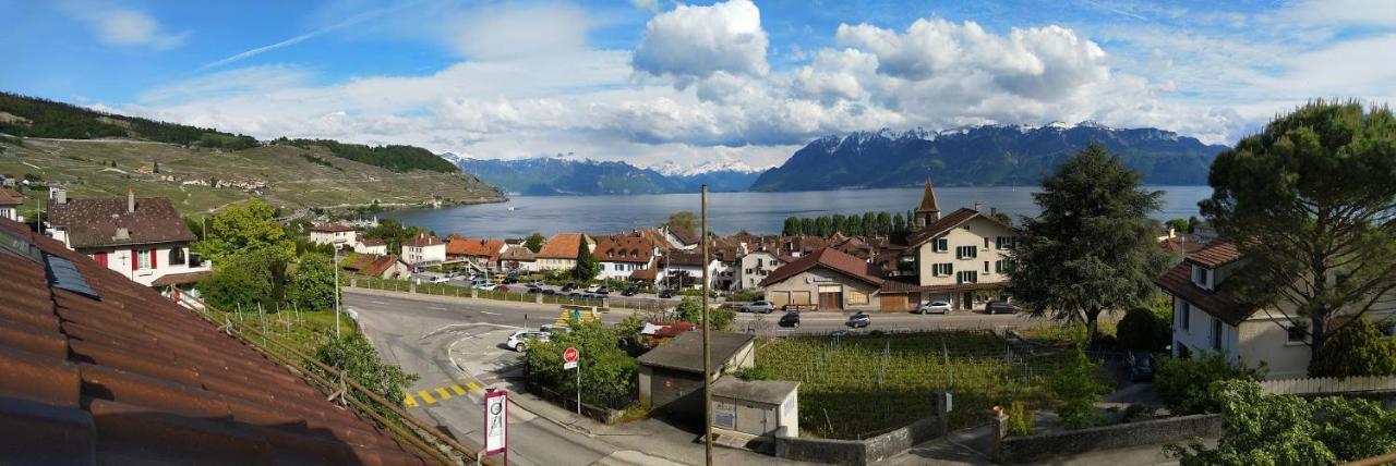 Charmante Maison Au Coeur Du Lavaux, Cully, Cuisine, Wifi, Les Echalas Eksteriør billede