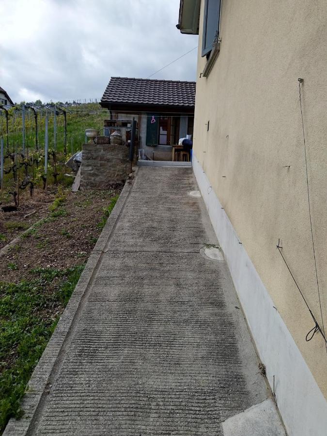 Charmante Maison Au Coeur Du Lavaux, Cully, Cuisine, Wifi, Les Echalas Eksteriør billede