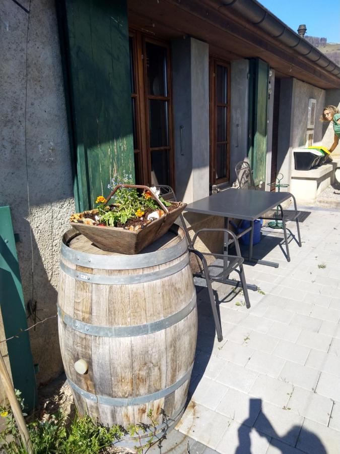 Charmante Maison Au Coeur Du Lavaux, Cully, Cuisine, Wifi, Les Echalas Eksteriør billede